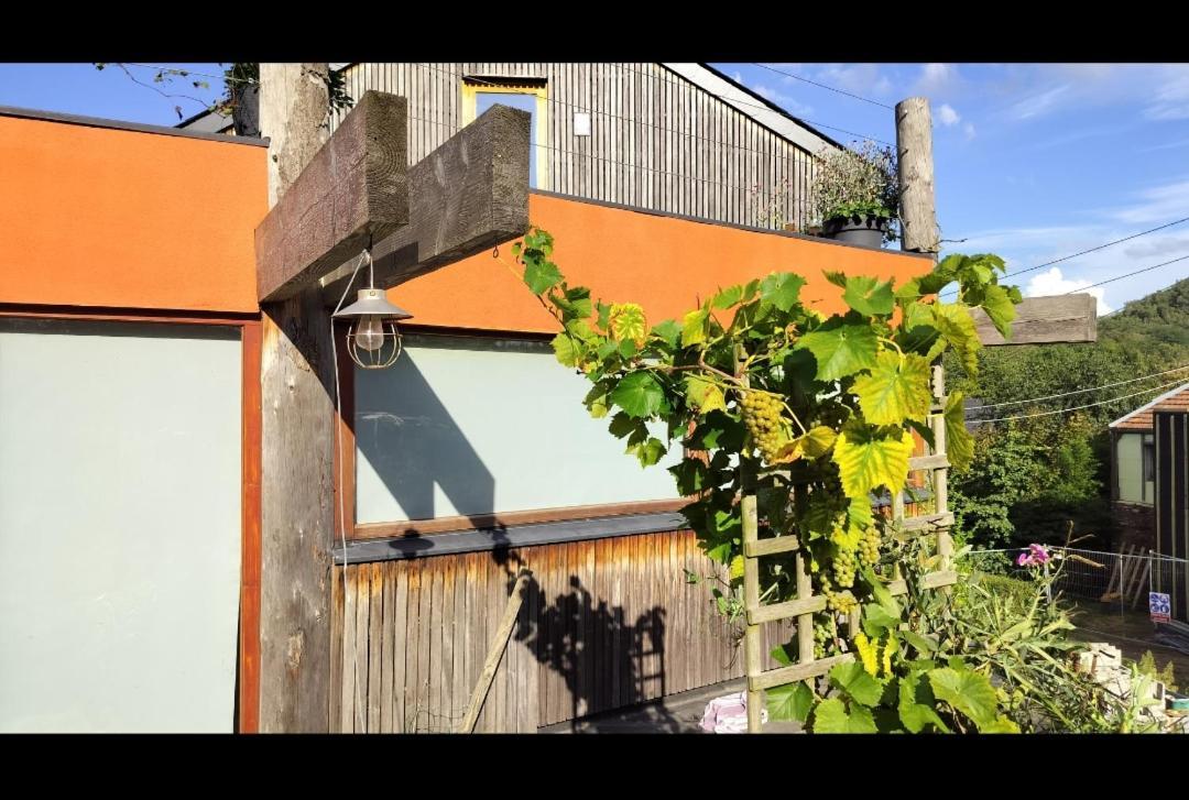 Gee Is Sharing Her Home Liege Exterior photo
