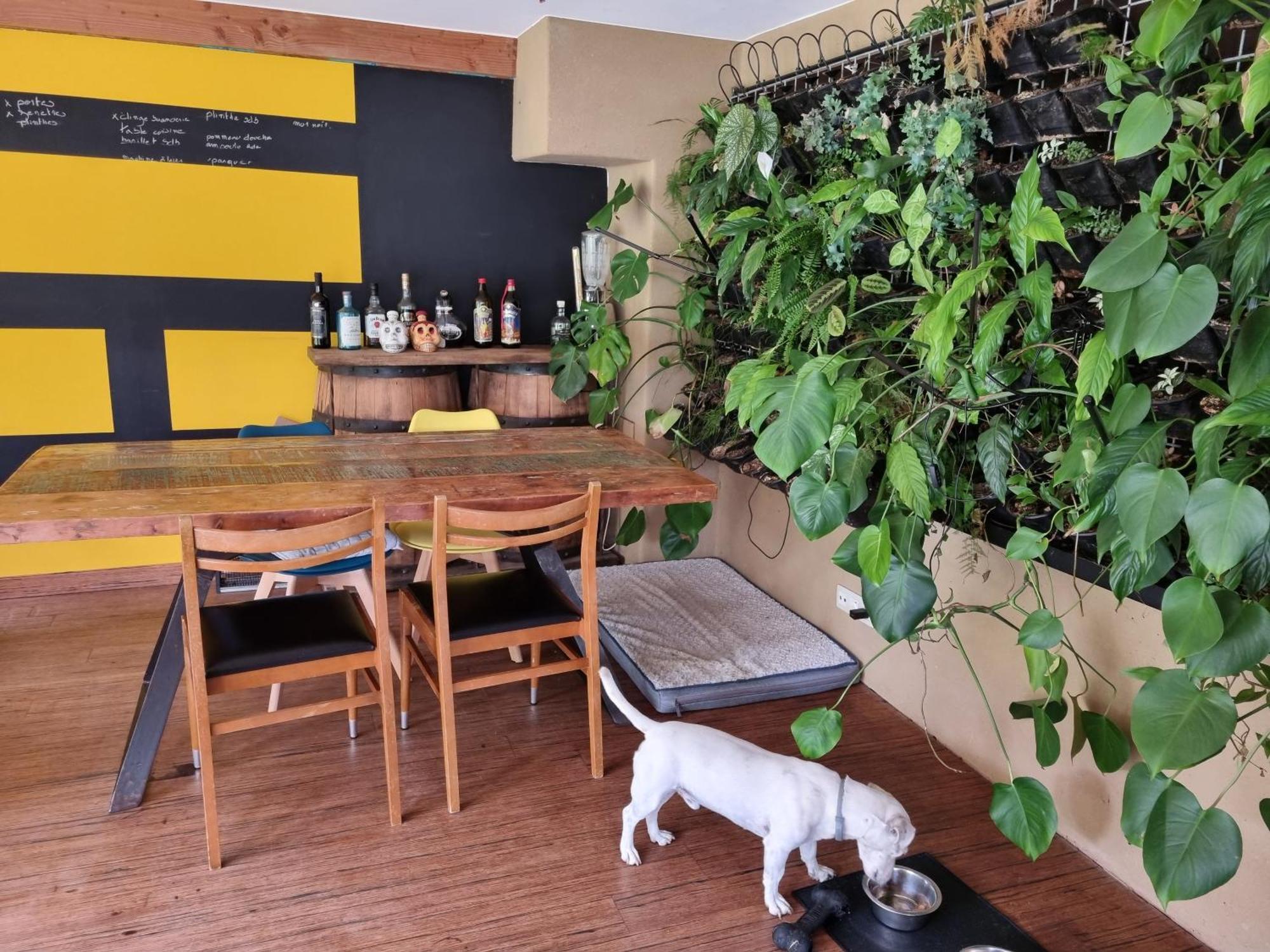 Gee Is Sharing Her Home Liege Exterior photo